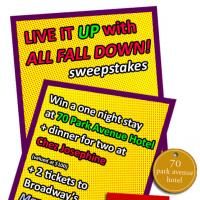 ALL FALL DOWN Hosts A Fundraising Sweepstakes To Draw Fans and Donors Video